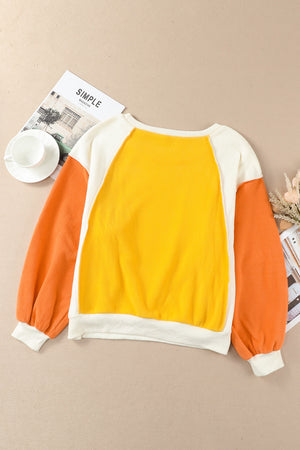 Bright Color Block Sweatshirt - ONLINE EXCLUSIVE