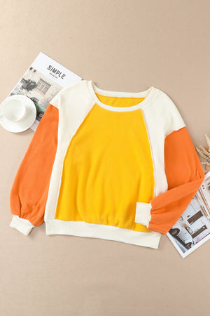 Bright Color Block Sweatshirt - ONLINE EXCLUSIVE