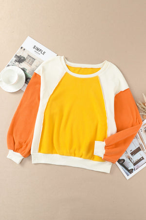 Bright Color Block Sweatshirt - ONLINE EXCLUSIVE